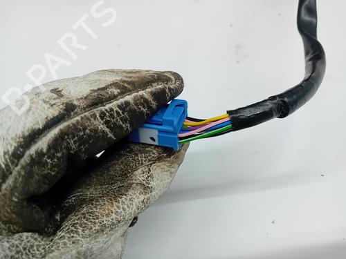 Retrovisor esquerdo TESLA MODEL Y (5YJY) | BP31903821C26