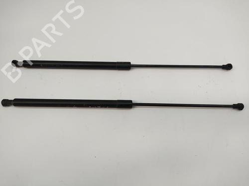 Used Hood lift support CITROËN C6 (TD_) 2.7 HDi (204 hp) 29335233