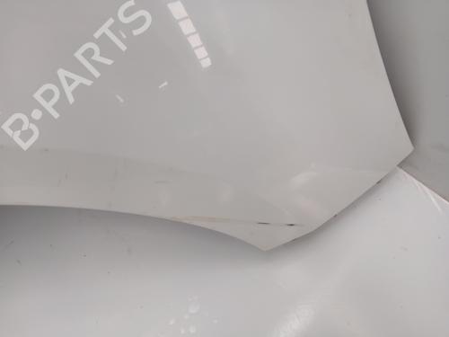 Right front fenders RENAULT SCÉNIC III (JZ0/1_)  | BP28042819C42 