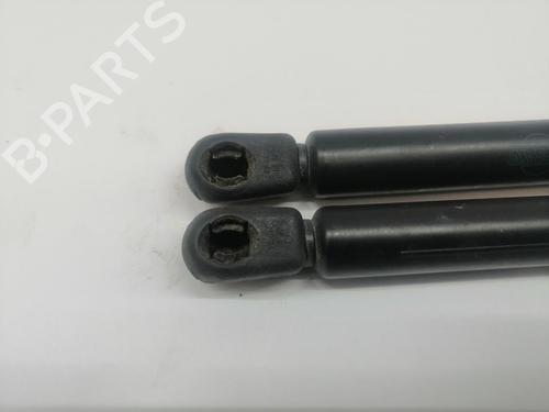 Tailgate lift support NISSAN MICRA III (K12)  | BP29430681C138 
