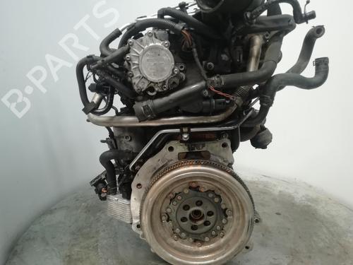 Motor VW TOURAN (1T1, 1T2)  | BP28209195M1 