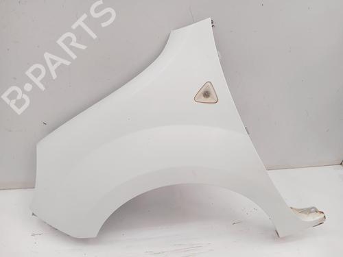 Used Left front fenders RENAULT KANGOO / GRAND KANGOO II (KW0/1_) [2008-2025]  30856063
