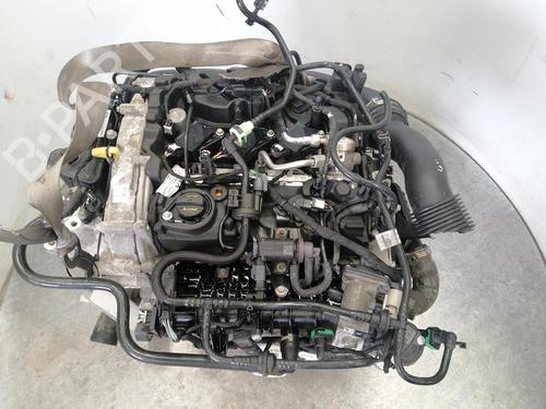 Used Engine Engine FORD FIESTA VII (HJ, HF) [2017-2026] 35978544 35978544