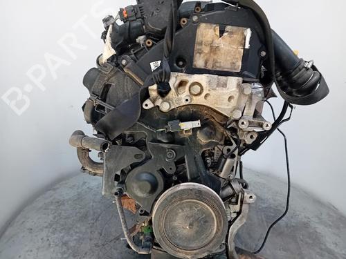 Motor FORD FIESTA VI (CB1, CCN)  | BP29904218M1