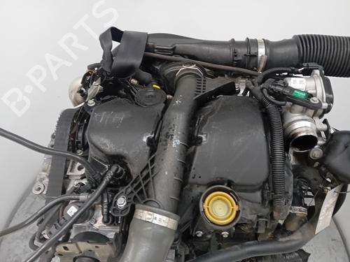 Used Engine DACIA SANDERO II [2012-2026]  32302985