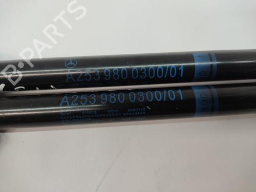 Tailgate lift support MERCEDES-BENZ GLC (X253) 220 d 4-matic (253.915) | BP29720096C138 