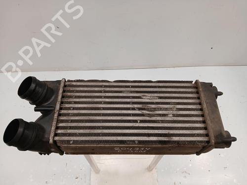 Used Intercooler PEUGEOT 3008 I MPV (0U_) 1.6 HDi (109 hp) 29849719
