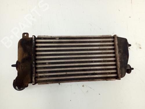 Intercooler CITROËN C3 I (FC_, FN_)  | BP18304478M30 