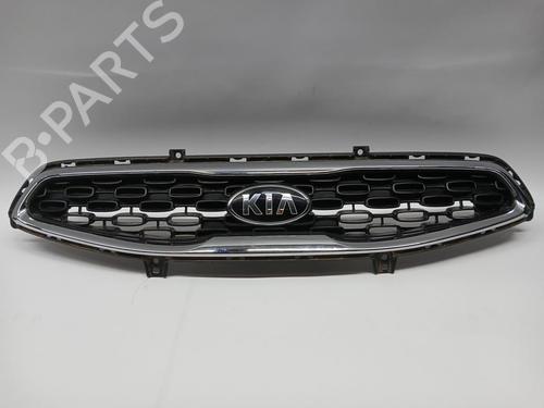 Used Grille Grille 38301380 38301380