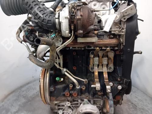 Engine RENAULT KOLEOS I (HY_) 2.0 dCi (HY0K) | BP36566245M1 - Image 6