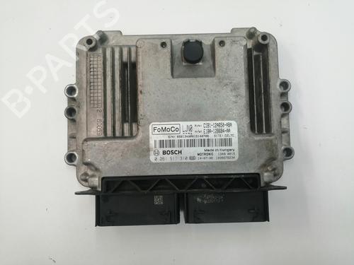 Used Engine control unit (ECU) FORD FIESTA VI (CB1, CCN) 1.0 EcoBoost (100 hp) 17076550