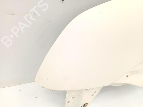 Left front fenders FORD TRANSIT CONNECT (P65_, P70_, P80_) 1.8 Di | BP29591922C41 
