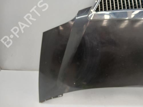 Hood LANCIA PHEDRA (179_) 2.2 JTD (179AXC1A) | BP29589542C1 
