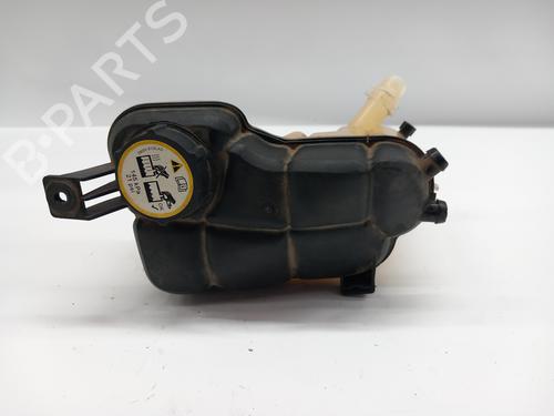 Expansion tank LAND ROVER RANGE ROVER EVOQUE (L538)  | BP21263118C120 