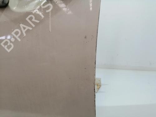 Left front door FIAT BRAVO II (198_) 1.6 D Multijet (198AXH1B) | BP27657943C2 
