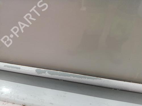 Right front door RENAULT MEGANE II (BM0/1_, CM0/1_) 1.9 dCi | BP28099048C3 