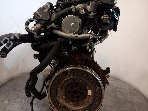 Engine NISSAN QASHQAI II (J11, J11_) | BP31123798M1