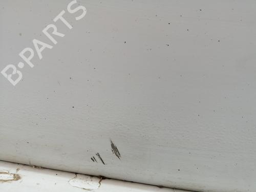 Left front door NISSAN INTERSTAR Van (X70)  | BP28059382C2 