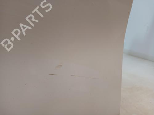 Left front door FORD PUMA (J2K, CF7)  | BP29532004C2 