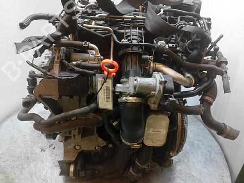 Engine VW TOURAN (1T3)  | BP32046253M1  - Image 6