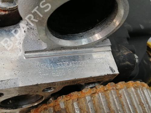 Cylinder head RENAULT KANGOO / GRAND KANGOO II (KW0/1_)  | BP29393742M5 