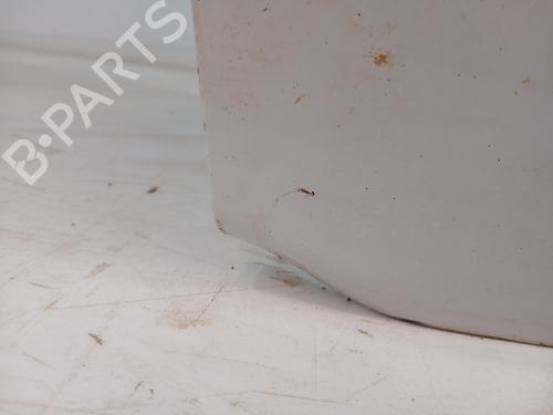 Left front door FIAT DUCATO Van (250_)  | BP29531997C2 