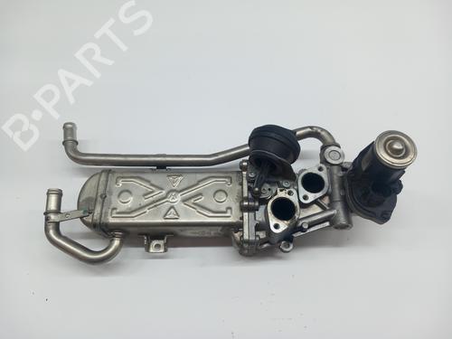 Egr VW POLO V (6R1, 6C1)  | BP21062495M69 