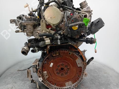 Engine NISSAN QASHQAI II (J11, J11_) 1.6 dCi | BP29904193M1