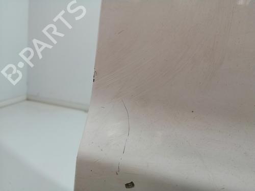 Left front door FORD TRANSIT CONNECT (P65_, P70_, P80_) 1.8 TDCi | BP28118857C2 