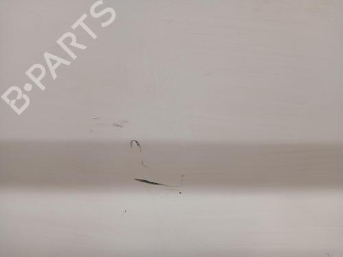 Left front door FIAT DUCATO Van (250_)  | BP29531997C2 