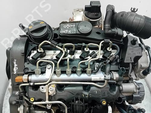 Used Engine VW GOLF VI (5K1) [2008-2014]  31059947