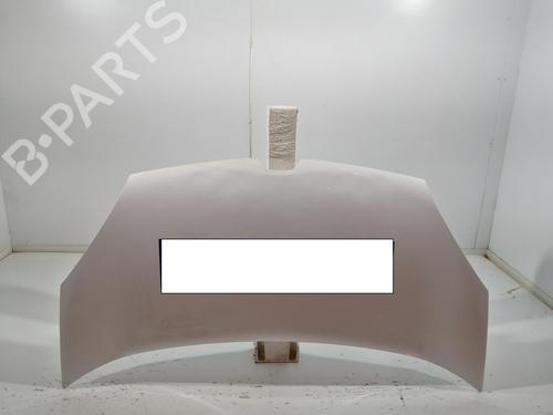 Used Hood RENAULT KANGOO / GRAND KANGOO II (KW0/1_) [2008-2025]  28047586