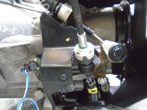 Gearbox FORD FIESTA VI (CB1, CCN) 1.25 | BP5540139M3 