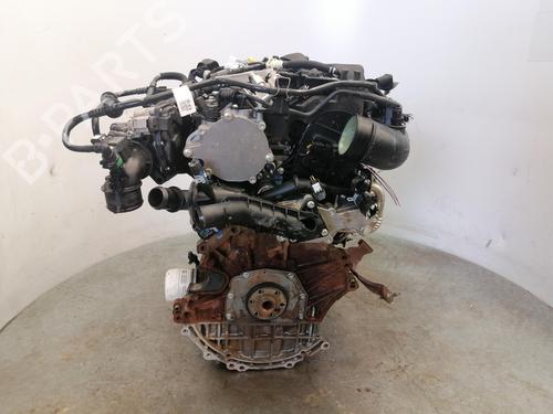 Engine FORD PUMA (J2K, CF7)  | BP28209199M1 