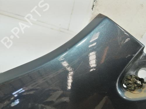 Left front fenders FORD FIESTA V (JH_, JD_) 1.4 TDCi | BP28107089C41 