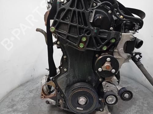 Engine RENAULT KOLEOS I (HY_) 2.0 dCi (HY0K) | BP36566245M1 - Image 5