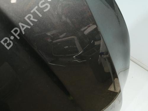 Hood NISSAN JUKE (F16_)  | BP29244187C1 