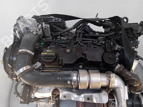 Used Engine Engine FORD FIESTA VI (CB1, CCN) 1.4 TDCi (70 hp) 30436581 30436581
