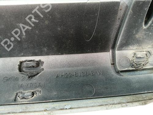 Grille LAND ROVER DISCOVERY IV (L319) 3.0 TD 4x4 | BP29235165C40 