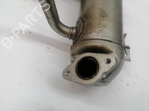 Egr FORD TRANSIT CUSTOM V362 Van (FY, FZ) | BP30749042M69