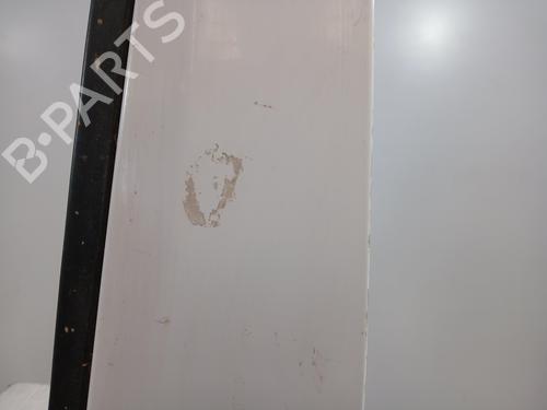 Left front door FIAT DUCATO Van (250_)  | BP29531997C2 