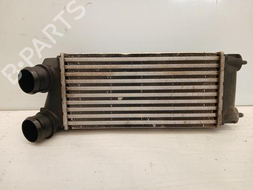 Intercooler Intercooler PEUGEOT PARTNER Tepee 1.6 VTi (120 hp) 37247299 37247299
