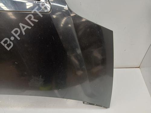 Hood LANCIA PHEDRA (179_) 2.2 JTD (179AXC1A) | BP29589542C1 