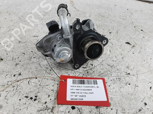 Used Egr VW GOLF VII (5G1, BQ1, BE1, BE2) 1.6 TDI (115 hp) 31604665