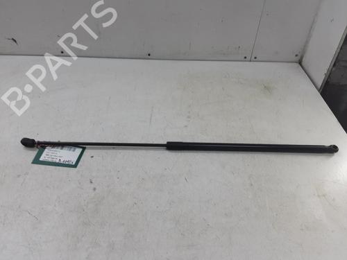Used Hood lift support VW GOLF V (1K1) 1.9 TDI (105 hp) 20284604