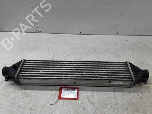Intercooler FIAT DOBLO Cargo (263_) 1.3 D Multijet (263WXU1A, 263ZXU1A, 263WYB1A, 263ZYB1A) | BP30579030M30