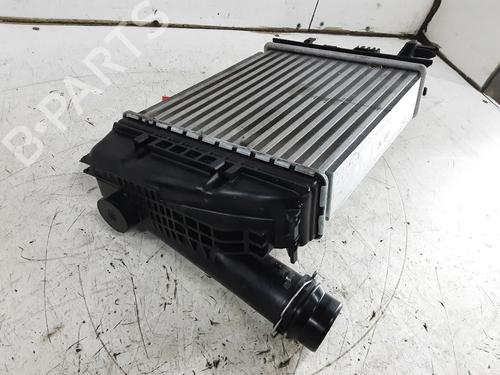 Intercooler NISSAN JUKE (F16_) 1.0 | BP33439703M30 - Image 7