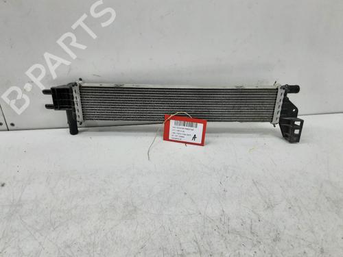 Water radiator DACIA DUSTER (HM_) 1.5 dCi 115 4x4 (HMAD) | BP29525571M31 