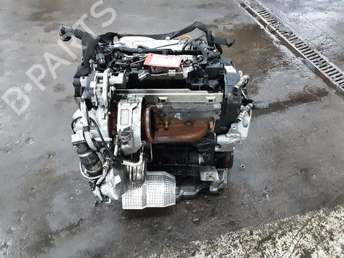 Engine AUDI A3 Sportback (8YA, 8YF) 30 TDI | BP32248688M1