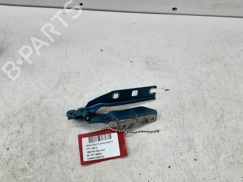 Hinge/Door check strap VW GOLF V (1K1) 1.9 TDI 4motion | BP23503738C146 